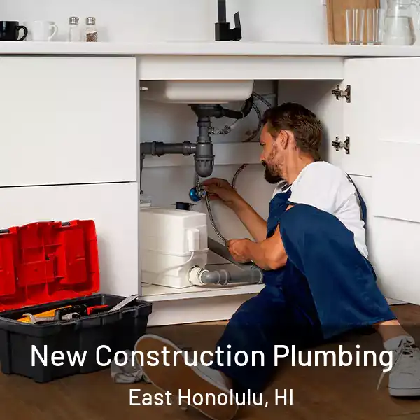  New Construction Plumbing East Honolulu, HI