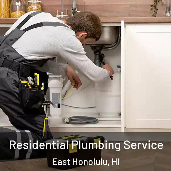  Residential Plumbing Service East Honolulu, HI