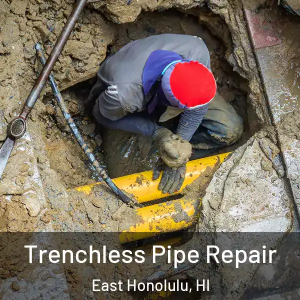  Trenchless Pipe Repair East Honolulu, HI