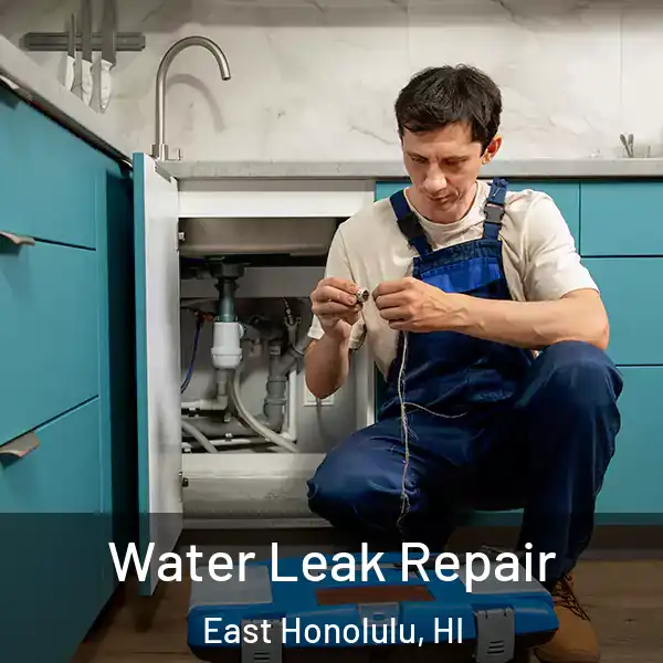  Water Leak Repair East Honolulu, HI